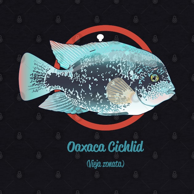 Oaxaca Cichlid by Reefhorse